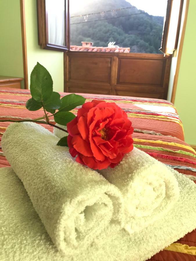 Apartamentos Rurales Los Nogales Cosgaya Esterno foto
