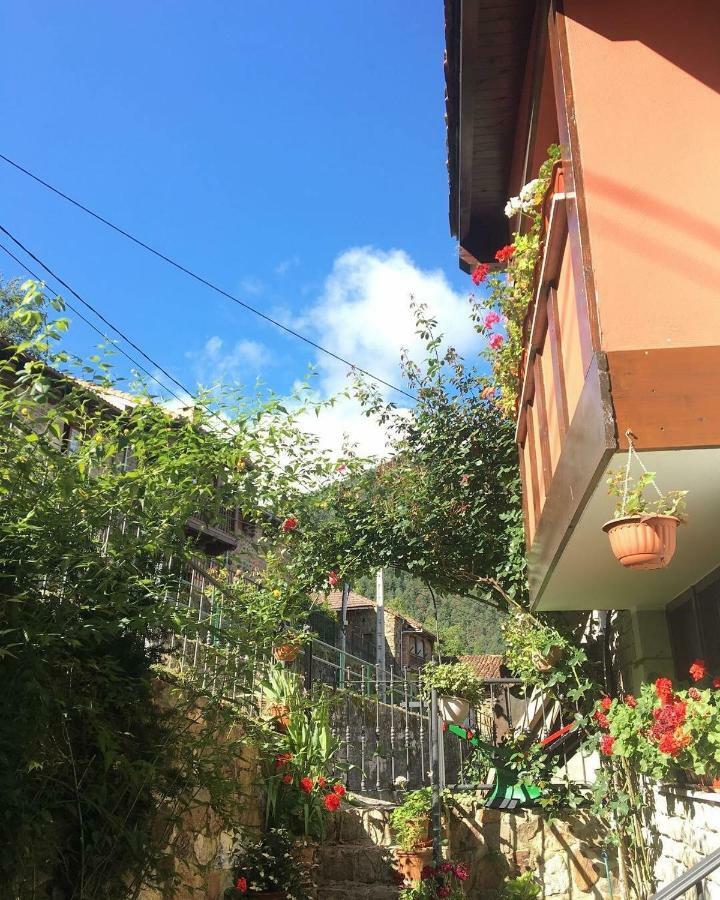 Apartamentos Rurales Los Nogales Cosgaya Esterno foto